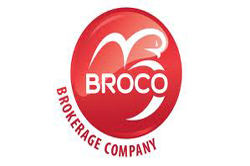 forex broker broco. przegląd